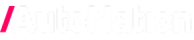 AutoNation logo in white text